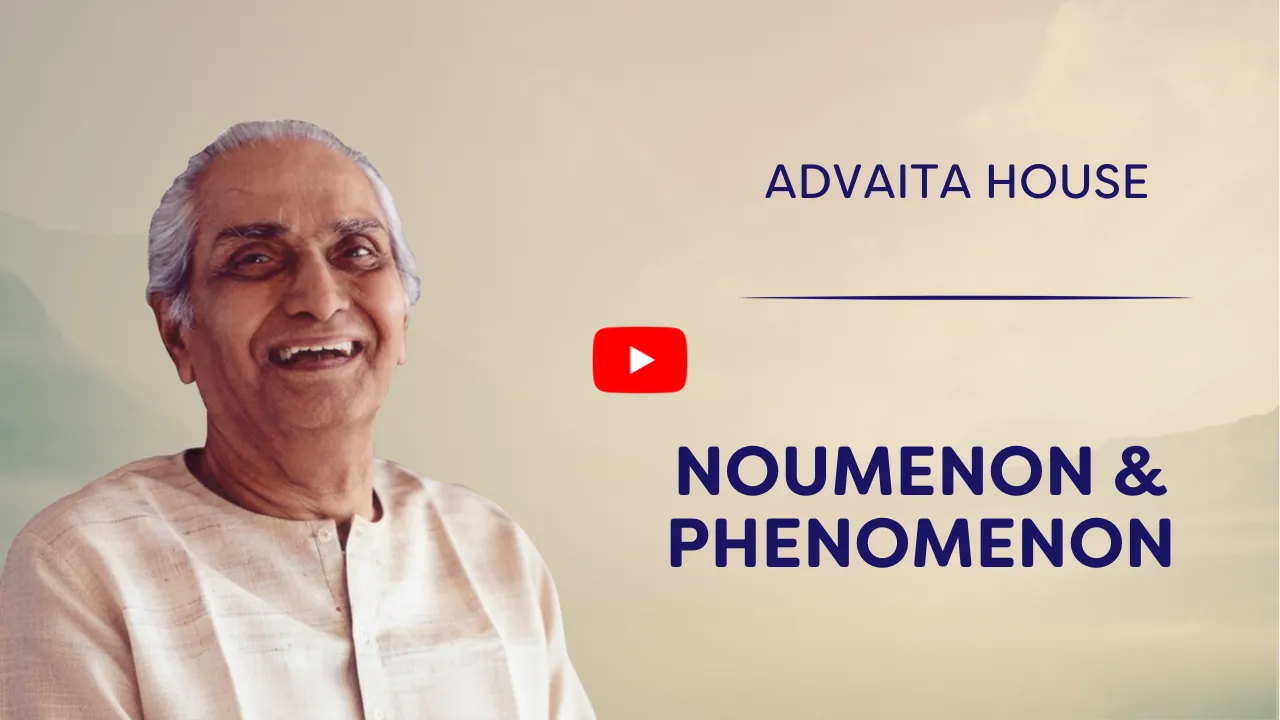 Noumenon & Phenomenon